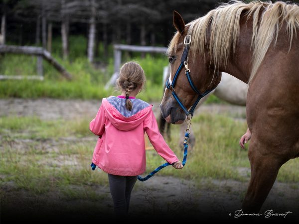 Fillette longeant un cheval au Domaine Équestre Boisvert